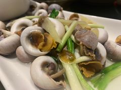 -東大方(湖州白鹭迎店)