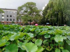 -四川大学(望江校区)