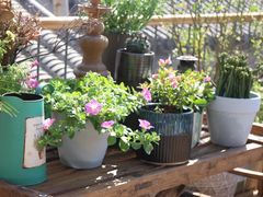 -至尚形象·化妆服饰搭配礼仪培训