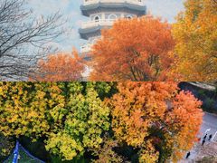 -灵谷景区