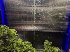 -湖畔鲁菜·二十年老字号餐厅(大明湖店)