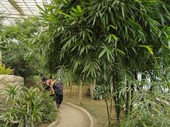 -石家庄市植物园