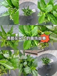 -HEYAN荷妍专业脱毛连锁机构