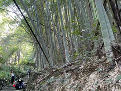 -会稽山峡洞漂流-上青古道