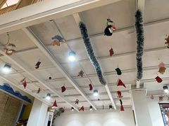 -南京Hallo宠物乐园·哈罗犬舍·柴犬繁育基地