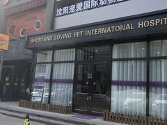 -宠爱国际动物医院· 猫科· 外科·中兽医(长白店)