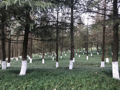 -重庆园博园