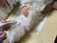 -安安宠医·安宠宠物医院