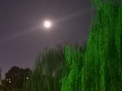 -西湖天地