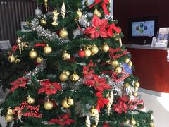 -中国银行(上海市马桥支行)