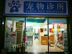 -菲尔斯特宠物医院