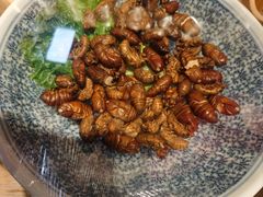 -鸽子窝(黄村店)