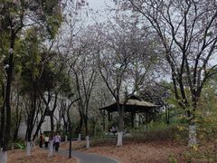 -海珠湖公园