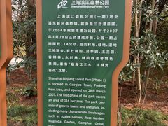 -上海滨江森林公园