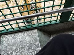 -深圳野生动物园