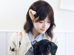 -汪说·狗咖·拼豆·宠物周边DIY(旺城大厦店)