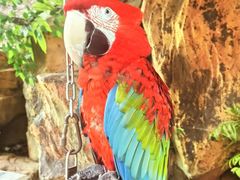 -燕塞湖鸟语林景区