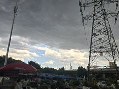 -中环花鸟鱼虫市场