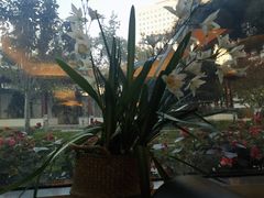 -亮马河饭店翠雅咖啡厅