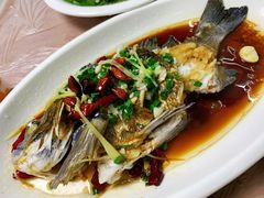 海鲫鱼-阿杰臻选海鲜饭店(普陀山店)
