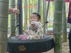 -陶祖圣境风景区