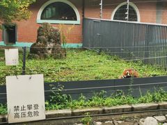 -哈尔滨北方森林动物园