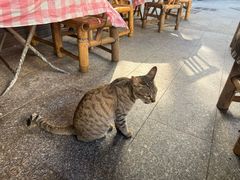 -黎记大排档(慈云路店)