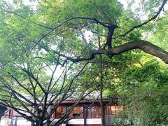 -青龙山国家森林公园