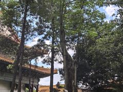 -珠海圆明新园