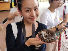 -清迈夜间动物园