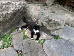 -庐山风景区花径公园