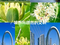-南京眼步行桥