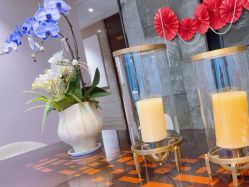 -美健盛世·美容SPA连锁