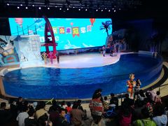 -三亚海昌梦幻海洋不夜城