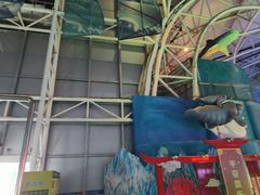 -烟台海昌鲸鲨海洋公园