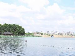 -西湖游船
