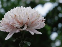 -中山公园