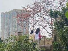 -晓港公园