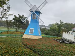 -宜兴龙背山森林公园