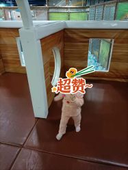 -宝贝王(天津滨海店)