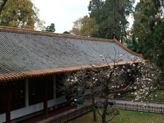 -昆明市金殿名胜区