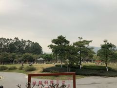 -火炉山森林公园