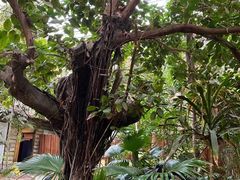 -龙达温泉生态城