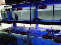 -小龍鳳·港式海鲜打边炉(沙湖路店)