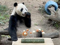 -广州长隆野生动物世界