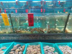 水产区-海大大蒸汽海鲜餐厅·粤菜·特色小炒(欢乐颂店)