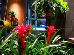 -大鸭梨烤鸭(枣园店)