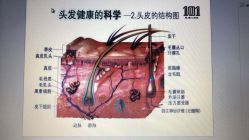 -章光101防脱养发荟