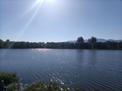 -亲兄弟真人CS团建拓展基地