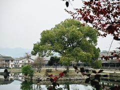 -楠溪江风景名胜区